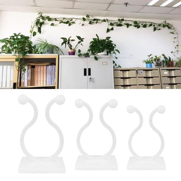 10pcs invisible wall vines fixture climbing vine plant fixer paste no trace sticky hook for home balcony garden decor hooks & rails
10pcs invisible wall vines fixture climbing vine plant fixer paste no trace sticky hook for home balcony garden decor hooks & rails