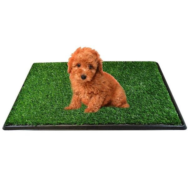 kennels & pens puppy toilet mat indoor outdoor training grass pad for dogs behavior with replacement
kennels & pens puppy toilet mat indoor outdoor training grass pad for dogs behavior with replacement