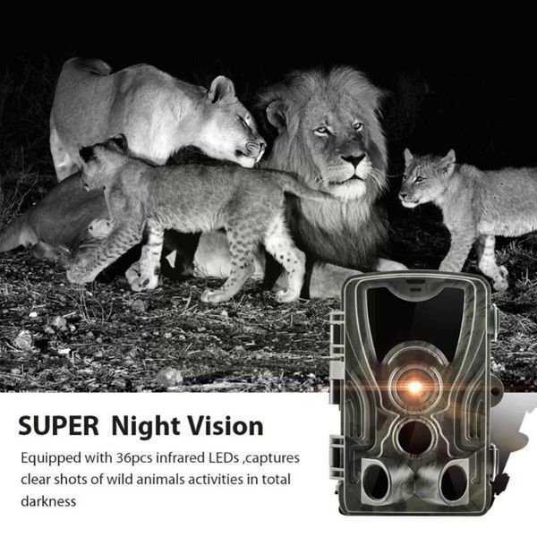 hunting cameras 20m induction waterproof outdoor camera with sports 2 cam trigger wildlife night scouting model u5o1
hunting cameras 20m induction waterproof outdoor camera with sports 2 cam trigger wildlife night scouting model u5o1