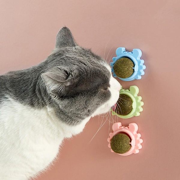 cat toy crab mint spin ball flopping catnip toys for cats pet supplies funny chew indoor
cat toy crab mint spin ball flopping catnip toys for cats pet supplies funny chew indoor