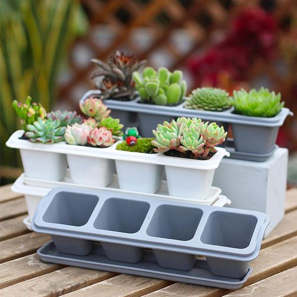 planters & pots 4/6 grids square plastic succulents planter with tray set,nursery pot cactus plant garden
planters & pots 4/6 grids square plastic succulents planter with tray set,nursery pot cactus plant garden