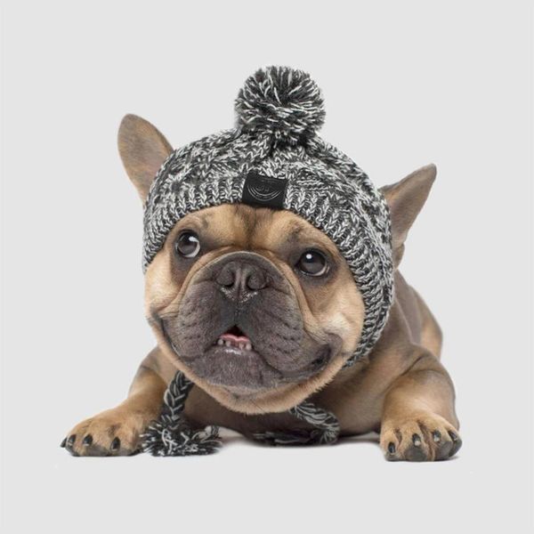 winter warm knitted pet dogs hats windproof hat dog kids christmas clothes funny cat accessories dress up apparel
winter warm knitted pet dogs hats windproof hat dog kids christmas clothes funny cat accessories dress up apparel
