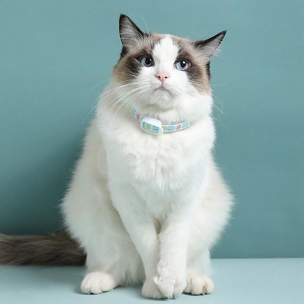 cat collars & leads 2021 8 month flea tick prevention collar for cats dog mosquitoes repellent insect
cat collars & leads 2021 8 month flea tick prevention collar for cats dog mosquitoes repellent insect
