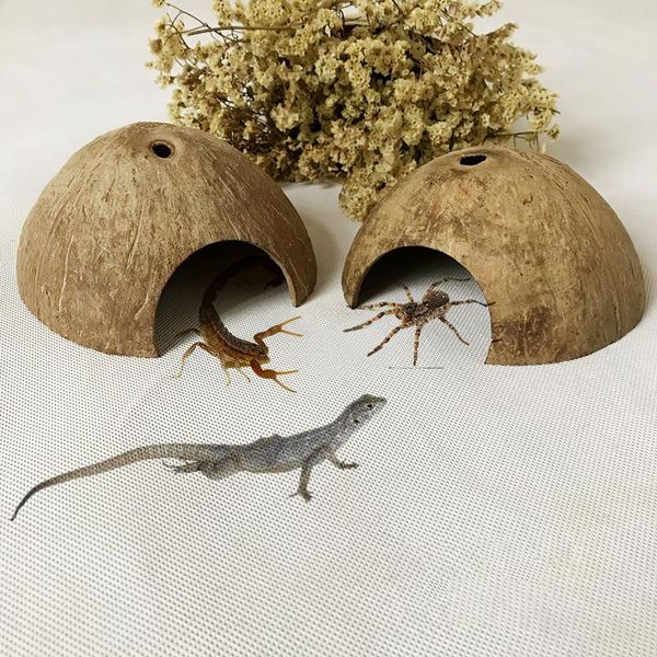 bird cages small reptile coconut shell shelter house pet climbing hut habitat hiding cave nest play shop supplies
bird cages small reptile coconut shell shelter house pet climbing hut habitat hiding cave nest play shop supplies