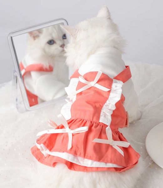 cat costumes pet lace butterfly maid skirt small dog spring and autumn dress puppy cute princess
cat costumes pet lace butterfly maid skirt small dog spring and autumn dress puppy cute princess