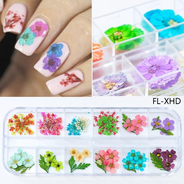 natural diy dry flower box packed manicure nail sticker decoration art stickers & decals, Black
natural diy dry flower box packed manicure nail sticker decoration art stickers & decals, Black