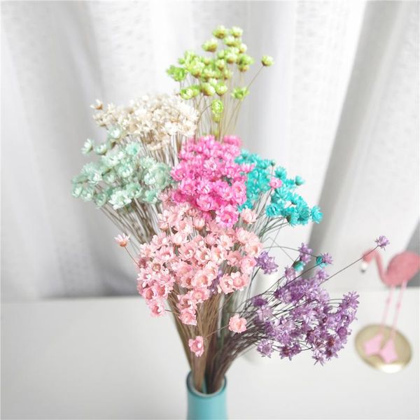 decorative flowers & wreaths 30pcs preserve floral natural plants dried mini daisy small star wedding bouquet home room decoration
decorative flowers & wreaths 30pcs preserve floral natural plants dried mini daisy small star wedding bouquet home room decoration