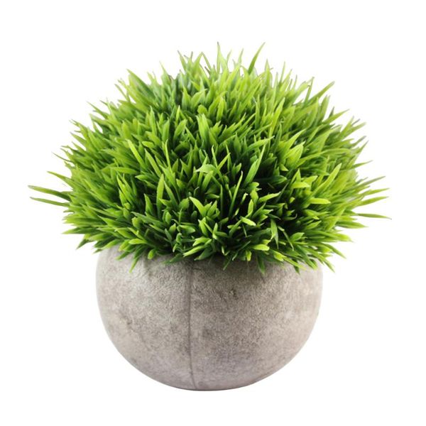 decorative flowers & wreaths 2pcs mini fake faux green grass simulation artificial plants with pots for home decor
decorative flowers & wreaths 2pcs mini fake faux green grass simulation artificial plants with pots for home decor