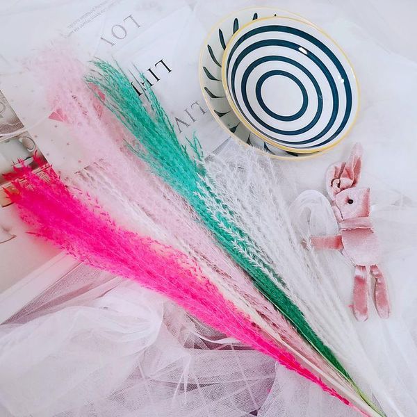 15pcs dried flowers whisk bouquet decor for wedding party natural pampas grass home table art decoration decorative & wreaths
15pcs dried flowers whisk bouquet decor for wedding party natural pampas grass home table art decoration decorative & wreaths