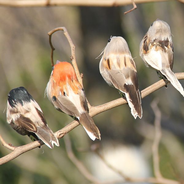 2pcs /4pcs imitation sparrow feather bird foam grey imitation artificial bird prop tree branch garden christmas decor miniatura, Slivery;golden
2pcs /4pcs imitation sparrow feather bird foam grey imitation artificial bird prop tree branch garden christmas decor miniatura, Slivery;golden