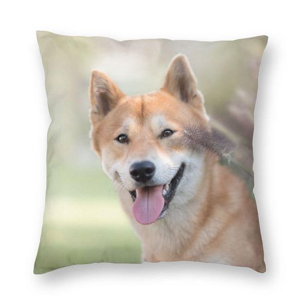cushion/decorative pillow fashion cute shiba inu dog case decoration 3d two side printing animal pattern cushion cover for living room
cushion/decorative pillow fashion cute shiba inu dog case decoration 3d two side printing animal pattern cushion cover for living room