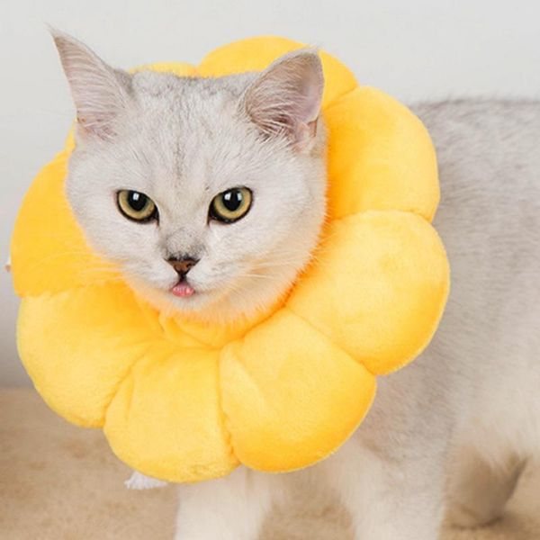 cat collars & leads pet elizabeth collar soft comfortable anti-licking anti-scratch headgear posrative protective sleeve supplies
cat collars & leads pet elizabeth collar soft comfortable anti-licking anti-scratch headgear posrative protective sleeve supplies