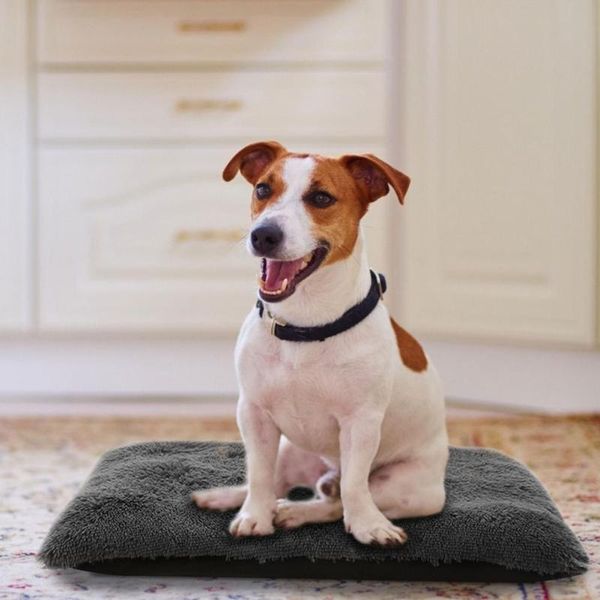 cat beds & furniture soft pet bed kennel dog mat winter warm sleeping bag removable long plush large puppy cushion portable supplies
cat beds & furniture soft pet bed kennel dog mat winter warm sleeping bag removable long plush large puppy cushion portable supplies