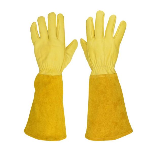disposable gloves sheepskin garden gardening labor protection gloves, stab-resistant, cut-resistant, long beekeeping
disposable gloves sheepskin garden gardening labor protection gloves, stab-resistant, cut-resistant, long beekeeping