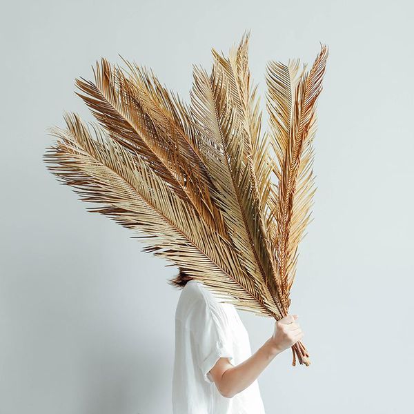 decorative flowers & wreaths fruticose dracaena leaf ,natural dried plant sago cycas branch,dry palm fan leaves,party wedding home table dec
decorative flowers & wreaths fruticose dracaena leaf ,natural dried plant sago cycas branch,dry palm fan leaves,party wedding home table dec
