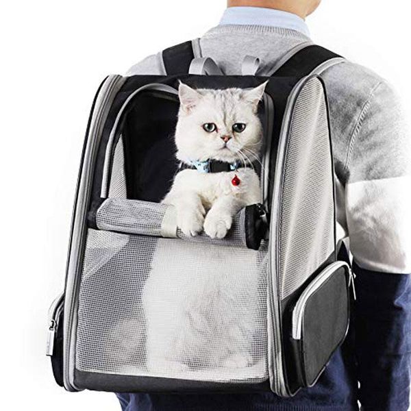 cat dog backpack carrier foldable travel bag innovative breathable traveler bubble mesh for small pet car seat covers
cat dog backpack carrier foldable travel bag innovative breathable traveler bubble mesh for small pet car seat covers