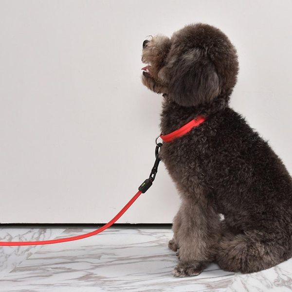 dog collars & leashes pet traction rope nylon soft comfortable led lamp beads robust metal buckles training supplies
dog collars & leashes pet traction rope nylon soft comfortable led lamp beads robust metal buckles training supplies