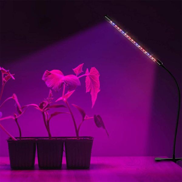 lights plant for indoor plants 40w 80 led lamp bulbs growing flower phyto garden decoration decorations
lights plant for indoor plants 40w 80 led lamp bulbs growing flower phyto garden decoration decorations