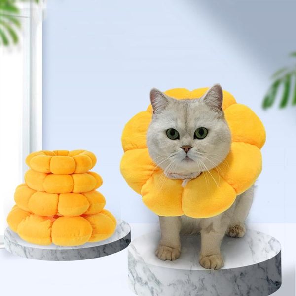 cat collars & leads elizabethan cone protector for dogs cats puppy anti-lick/bite neck pet protective collar
cat collars & leads elizabethan cone protector for dogs cats puppy anti-lick/bite neck pet protective collar