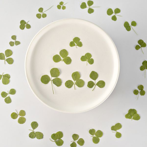 clover embossed flower dried plant specimen tree leaf manual decal diy bookmark material festival gift design
clover embossed flower dried plant specimen tree leaf manual decal diy bookmark material festival gift design