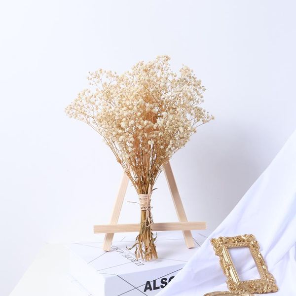 decorative flowers & wreaths selling good quality natural gypsophila preserved dried babys breath flower bouquet for wedding party decoratio
decorative flowers & wreaths selling good quality natural gypsophila preserved dried babys breath flower bouquet for wedding party decoratio