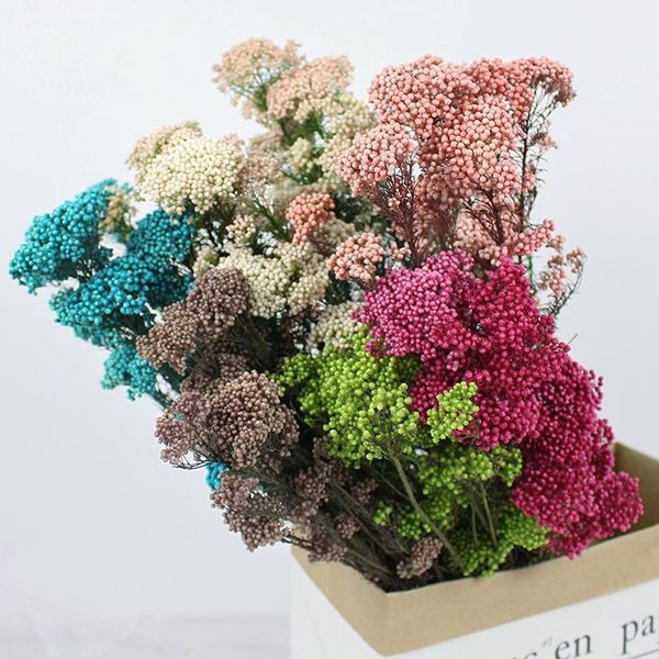 decorative flowers & wreaths dried preserved millet flower natural fresh dry ramillete flores,forever wedding marriage home decor accessorie
decorative flowers & wreaths dried preserved millet flower natural fresh dry ramillete flores,forever wedding marriage home decor accessorie
