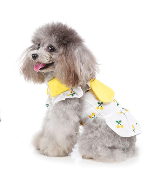 the dog clothes pet spring and summer skirt thin beautiful multicolor princess dog dress
the dog clothes pet spring and summer skirt thin beautiful multicolor princess dog dress