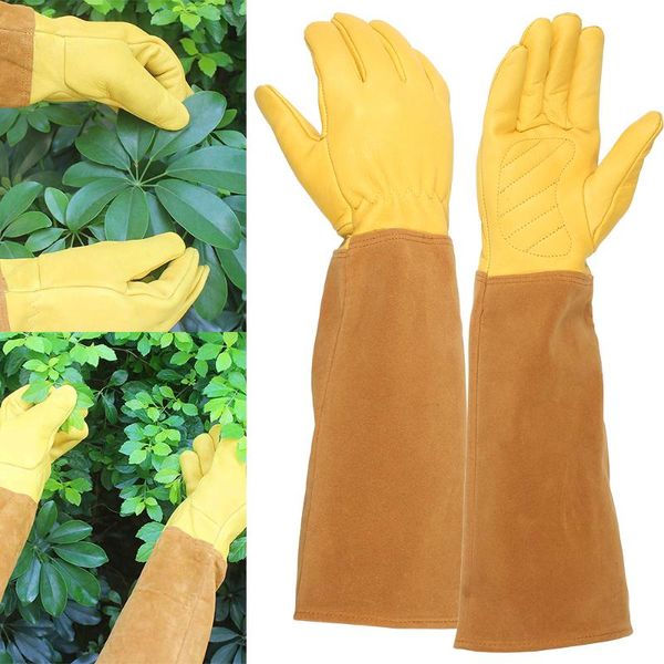 disposable gloves garden for women and men thorn proof leather work waterproof household non-slip cleaning tool gardening
disposable gloves garden for women and men thorn proof leather work waterproof household non-slip cleaning tool gardening