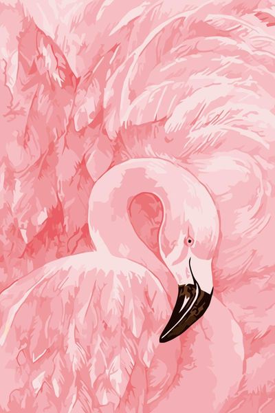 paintings by numbers with pink flamingo animal oil painting diy picture wall decoration
paintings by numbers with pink flamingo animal oil painting diy picture wall decoration