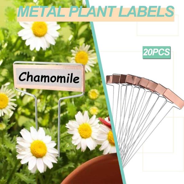 garden decorations high metal plant labels markers t-type gardening name tags herbs pots bonsai succulent seeding sign waterproof label
garden decorations high metal plant labels markers t-type gardening name tags herbs pots bonsai succulent seeding sign waterproof label