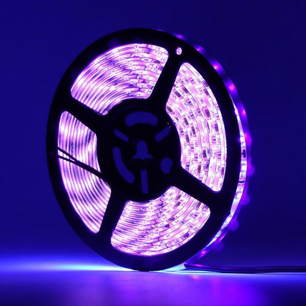 strips 16.4ft led uv black light strip, smd 12v flexible blacklight fixtures with 300 units lamp beads waterproof
strips 16.4ft led uv black light strip, smd 12v flexible blacklight fixtures with 300 units lamp beads waterproof