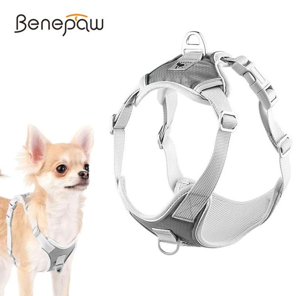 benepaw comfortable no pull dog harness sturdy reflective adjustable breathable padded pet puppy vest for small medium dogs collars & leashe
benepaw comfortable no pull dog harness sturdy reflective adjustable breathable padded pet puppy vest for small medium dogs collars & leashe