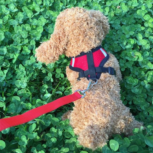 dog collars & leashes adjustable vest harnesses+traction rope ling chong pet leads chest straps small traction belt s~l
dog collars & leashes adjustable vest harnesses+traction rope ling chong pet leads chest straps small traction belt s~l