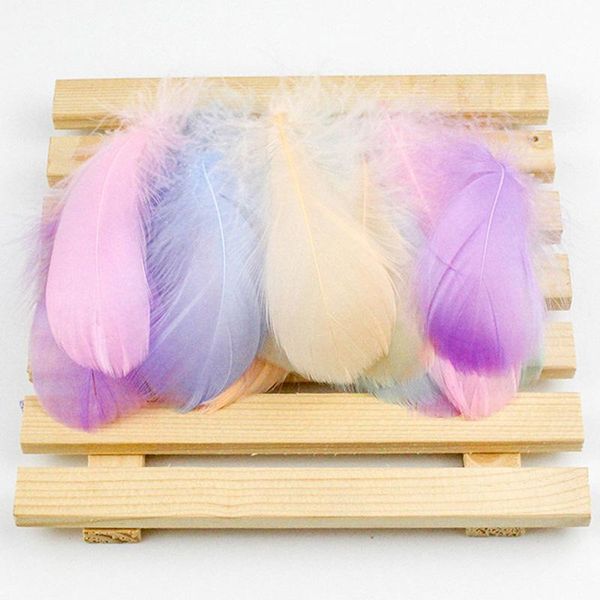 100pcs colorful feathers handmade dream catcher craft materials gift packing material box filler wedding birthday party decor wrap
100pcs colorful feathers handmade dream catcher craft materials gift packing material box filler wedding birthday party decor wrap