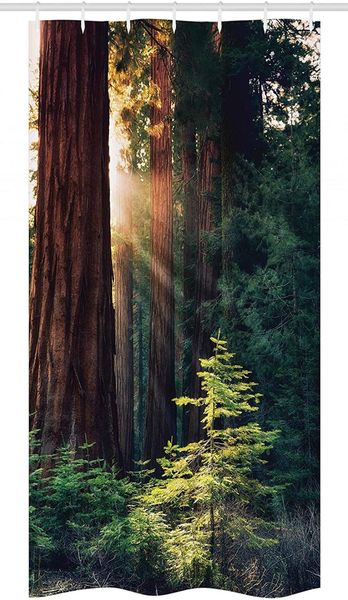shower curtains national parks stall curtain morning sunlight in wilderness yosemite sierra nevada united states nature bathroom
shower curtains national parks stall curtain morning sunlight in wilderness yosemite sierra nevada united states nature bathroom