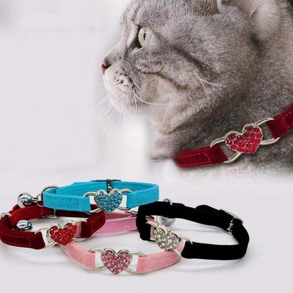 cat collars & leads collar with bell for cats kitten puppy leash dog chihuahua pet leashes lead supplies
cat collars & leads collar with bell for cats kitten puppy leash dog chihuahua pet leashes lead supplies