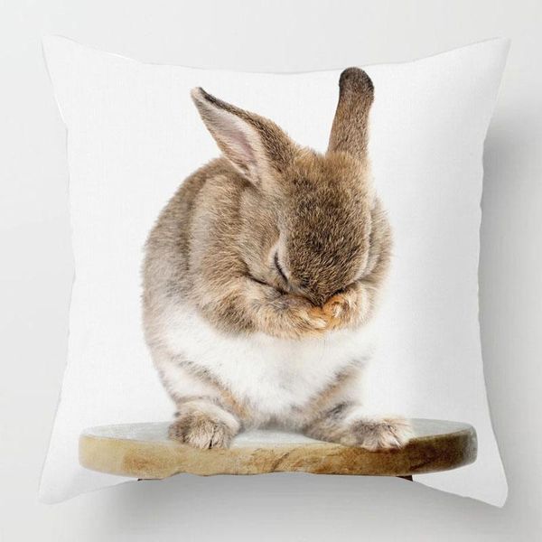 animal cushion cover case decor 45x45cm polyester pillow living room sofa decoration cushion/decorative
animal cushion cover case decor 45x45cm polyester pillow living room sofa decoration cushion/decorative