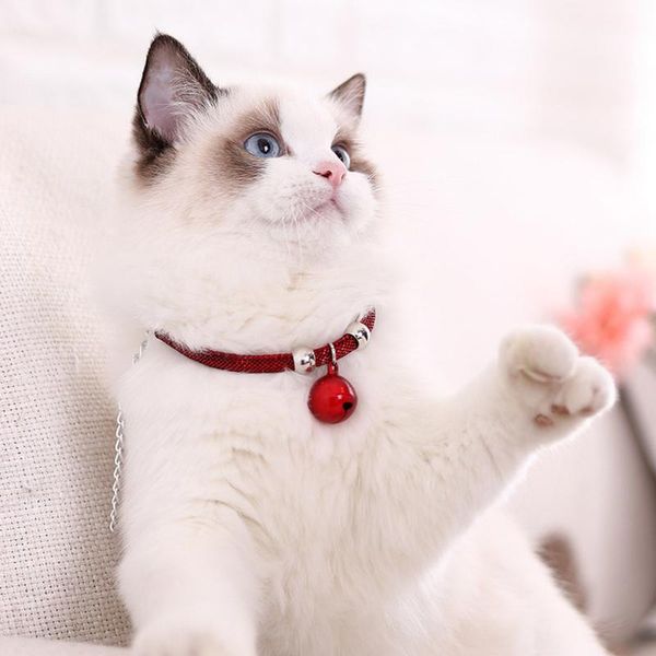 cat collars & leads adjustable bell collar puppy necklace kitten for woven rope traction small pet accessories 
cat collars & leads adjustable bell collar puppy necklace kitten for woven rope traction small pet accessories