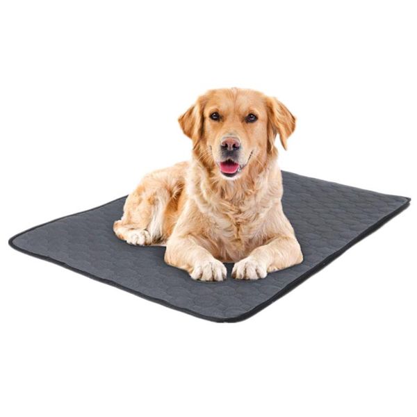 kennels & pens breathable dog diapers non-slip urine mats waterproof absorbency sleeping pad pet accessories puppy training diaper
kennels & pens breathable dog diapers non-slip urine mats waterproof absorbency sleeping pad pet accessories puppy training diaper