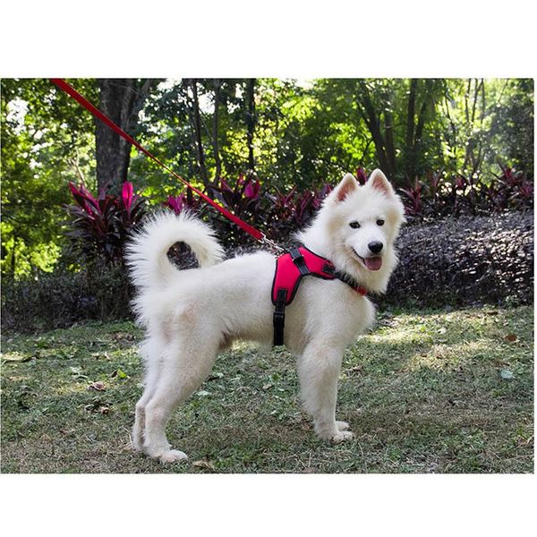 dog collars & leashes pets harness vest tape breathable mesh pet dogs leash collar accessories
dog collars & leashes pets harness vest tape breathable mesh pet dogs leash collar accessories