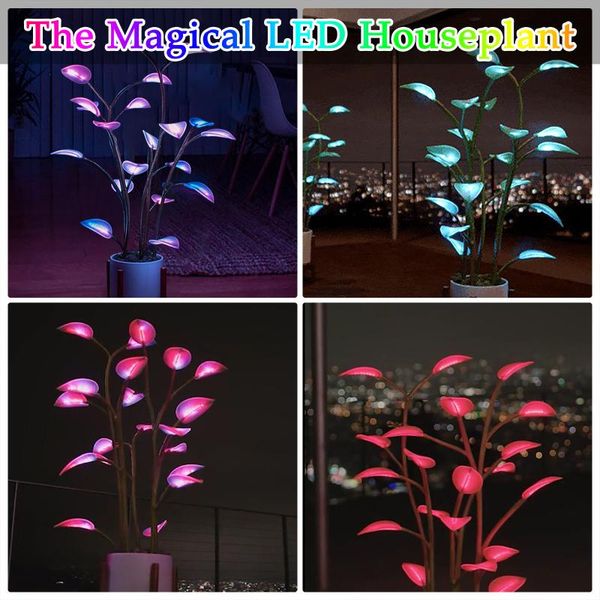 decorative flowers & wreaths artificial plants arrival the magical led houseplant for home indoor light decor drop
decorative flowers & wreaths artificial plants arrival the magical led houseplant for home indoor light decor drop