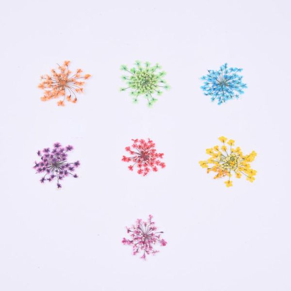 decorative flowers & wreaths 1 bag snowdrop flower natural dried pressed manicure drip glue mobile phone case diy material
decorative flowers & wreaths 1 bag snowdrop flower natural dried pressed manicure drip glue mobile phone case diy material
