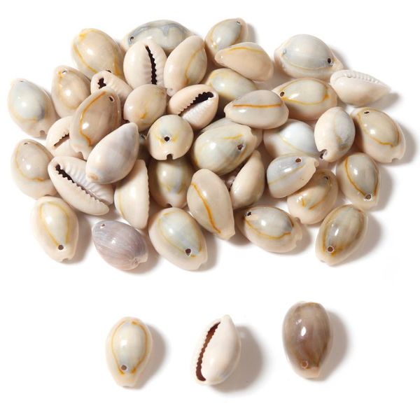 other apx 140pcs/lot sea shell cowrie cowry charm beads beach jewelry accessories for women shells diy earrings bracelet necklace
other apx 140pcs/lot sea shell cowrie cowry charm beads beach jewelry accessories for women shells diy earrings bracelet necklace