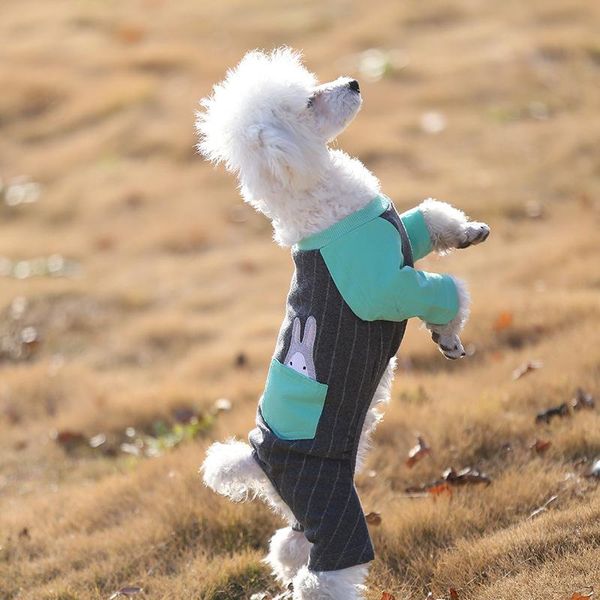 pet dog clothes chihuahua spring warm coat jacket cat sleeve sweatshirt apparel
pet dog clothes chihuahua spring warm coat jacket cat sleeve sweatshirt apparel