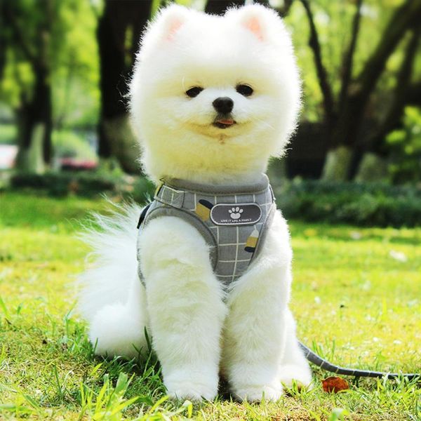 dog collars & leashes leash kitten puppy reflective adjustable dogs and set vest leads pet clothes for small
dog collars & leashes leash kitten puppy reflective adjustable dogs and set vest leads pet clothes for small