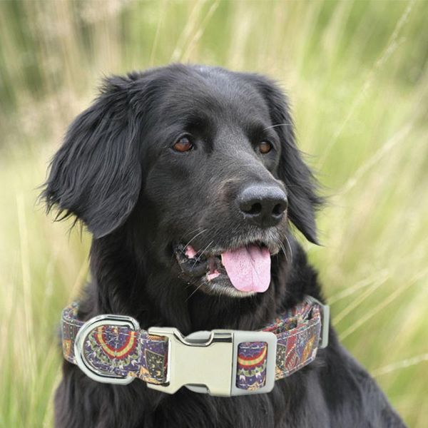 dog collars & leashes collar personalized printed pet tag nylon puppy cat name phone id for small large dogs supplies
dog collars & leashes collar personalized printed pet tag nylon puppy cat name phone id for small large dogs supplies