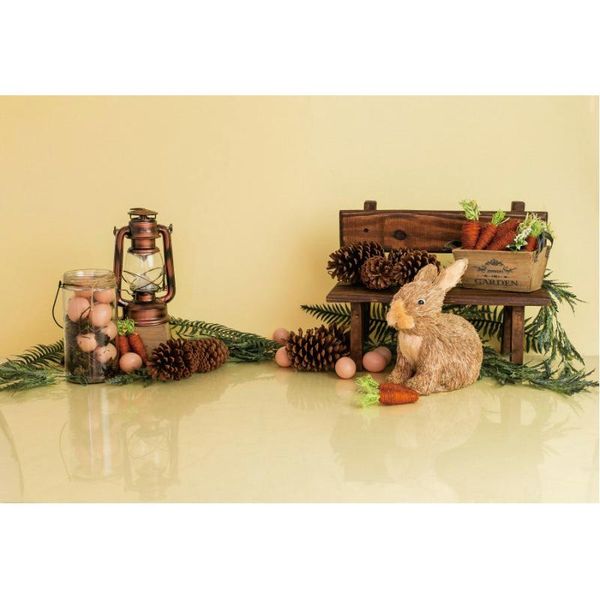 party decoration easter backdrop pinecone egg background family festival decor pography po booth studio prop
party decoration easter backdrop pinecone egg background family festival decor pography po booth studio prop