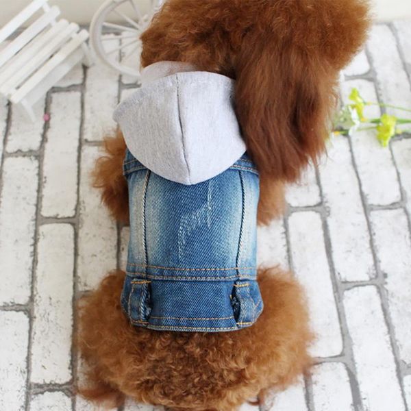 dog apparel dozzlor pet denim vest 2021 xs-xxl knitted hooded clothes spring fashion puppy clothing autumn accessories arrival
dog apparel dozzlor pet denim vest 2021 xs-xxl knitted hooded clothes spring fashion puppy clothing autumn accessories arrival