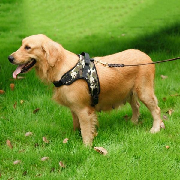 durable dog medium and large dogs training explosion-proof vest harnesses collars & leashes
durable dog medium and large dogs training explosion-proof vest harnesses collars & leashes