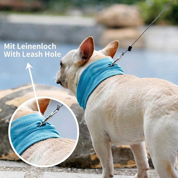 dog collars & leashes summer pet cooling instant bandana scarf sunstroke prevention towel wrap neck for dogs
dog collars & leashes summer pet cooling instant bandana scarf sunstroke prevention towel wrap neck for dogs